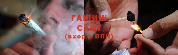 PSILOCYBIN Горняк