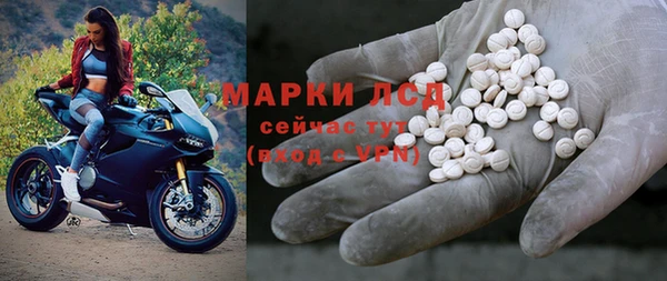 PSILOCYBIN Горняк