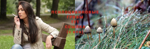 PSILOCYBIN Горняк