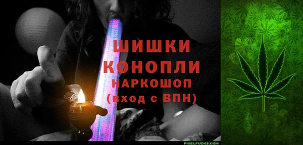 PSILOCYBIN Горняк