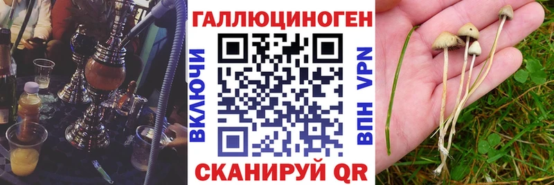 Псилоцибиновые грибы GOLDEN TEACHER  Плёс 